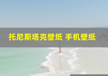 托尼斯塔克壁纸 手机壁纸